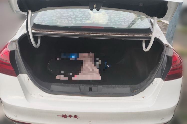 Used Geely Auto Emgrand 2018 1.5L CVT Upward Connect Edition Trunk
