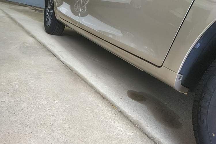 Used Geely Auto Emgrand 2019 Leading Edition 1.5L CVT Luxury Model China VI Standard Right Side Sill