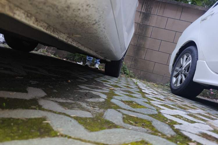 Used Geely Auto Emgrand 2019 Leading Edition 1.5L CVT Upward-Connected Model China VI Standard Chassis Front Left