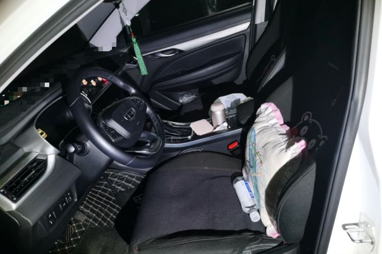 Used Geely Auto Emgrand 2019 Leading Edition 1.5L CVT Upward Asian Games Edition China VI Left Front Seat