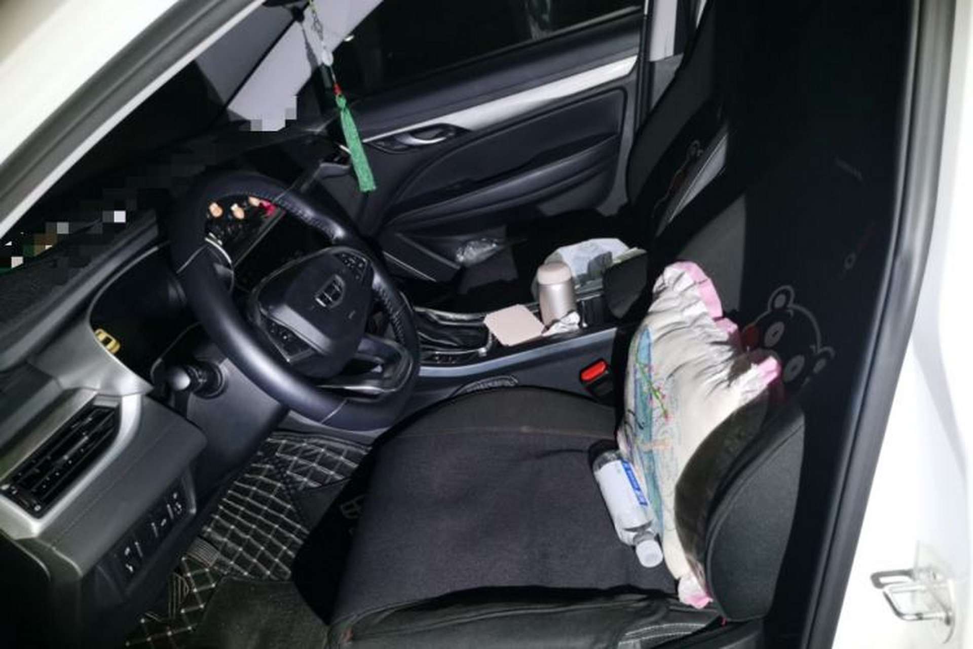 Used Geely Auto Emgrand 2019 Leading Edition 1.5L CVT Upward Asian Games Edition China VI Left Front Seat