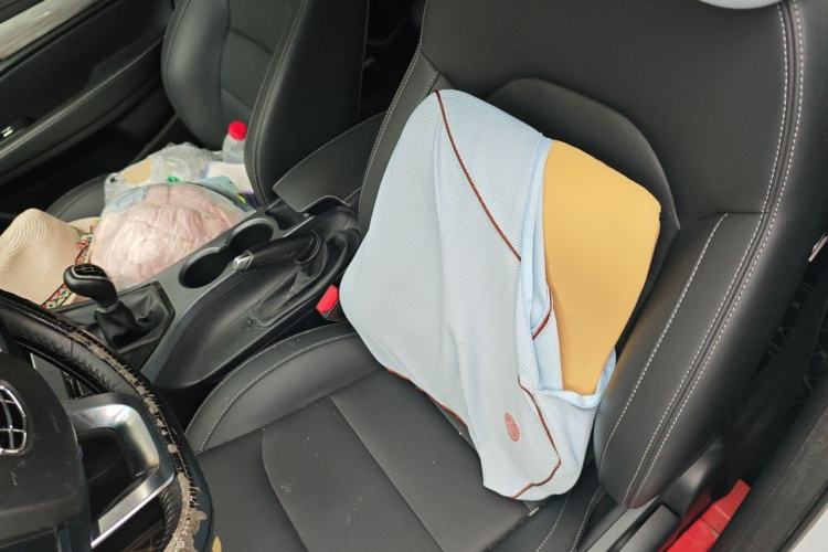 Used Geely Auto Emgrand 2019 Leading Edition 1.5L Manual Upward Asian Games Edition China VI Left Front Seat