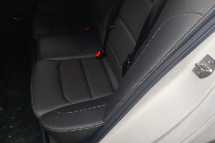Used Geely Auto Emgrand 2019 Leading Edition 1.5L CVT Luxury Model China VI Standard Left Rear Seat
