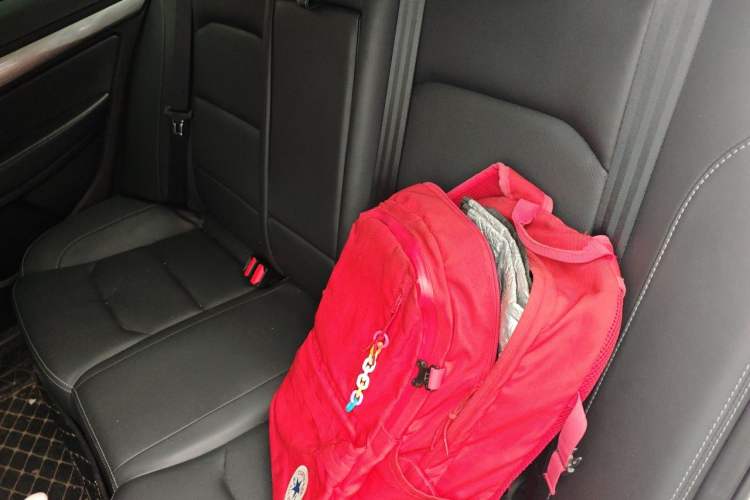 Used Geely Auto Emgrand 2019 Leading Edition 1.5L Manual Upward Asian Games Edition China VI Left Rear Seat
