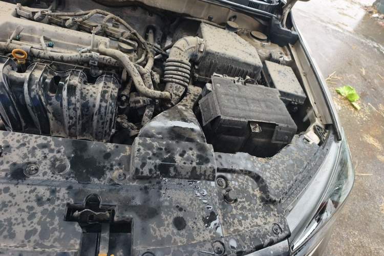 Used Geely Auto Emgrand 2020 1.5L Manual Comfort Version Engine Bay Left
