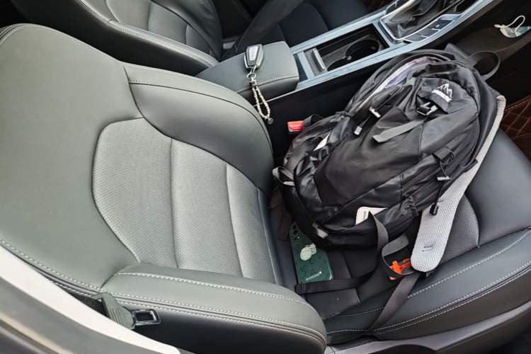 Used Geely Auto Emgrand 2020 1.5L CVT Upward Version Right Front Seat