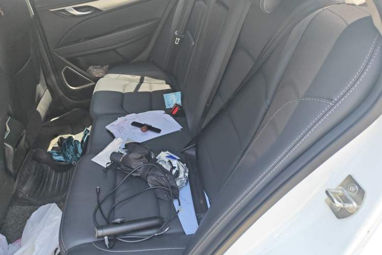 Used Geely Auto Emgrand 2020 1.5L CVT Luxury Model Left Rear Seat