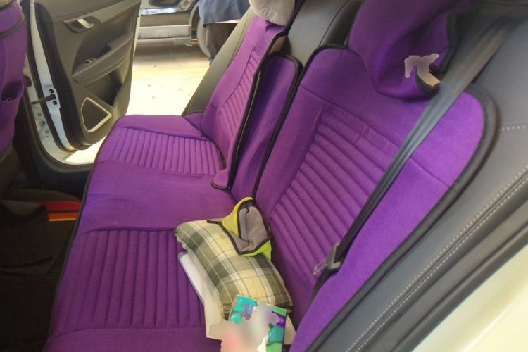 Used Geely Auto Emgrand 2020 1.5L Manual Comfort Version Left Rear Seat