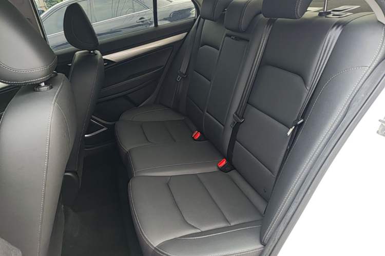 Used Geely Auto Emgrand 2020 1.5L CVT Luxury Model Left Rear Seat