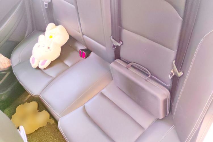 Used Geely Auto Emgrand 2020 1.5L CVT Comfort Model Left Rear Seat