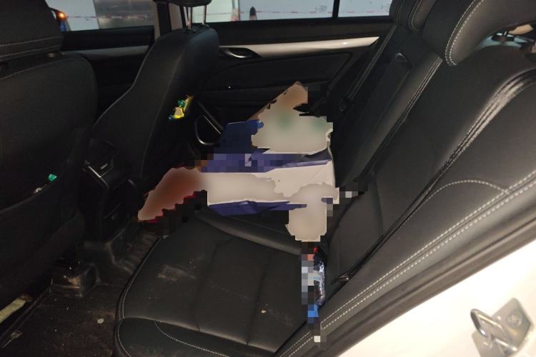 Used Geely Auto Emgrand 2020 1.5L Manual Comfort Version Left Rear Seat