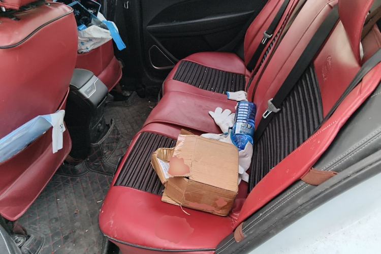 Used Geely Auto Emgrand 2020 1.5L Manual Comfort Version Left Rear Seat