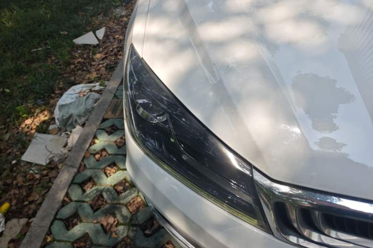 Used Geely Auto Emgrand 2020 1.5L CVT Luxury Model Right Front Headlight