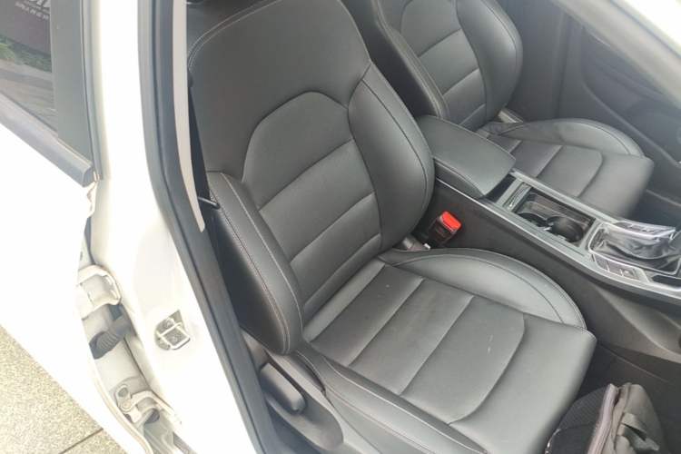 Used Geely Auto Emgrand 2020 1.5L CVT Luxury Model Right Front Seat