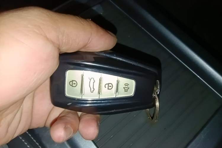 Used Geely Auto Emgrand 2020 1.5L CVT Luxury Model Vehicle Key