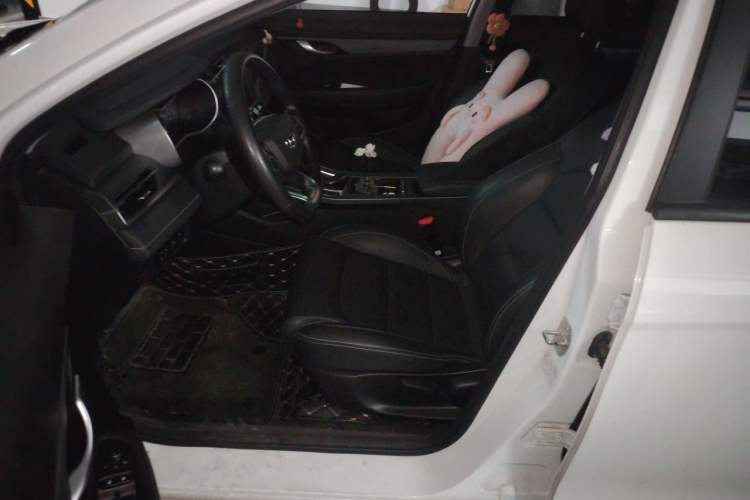 Used Geely Auto Emgrand 2021 UP 1.5L CVT Luxury Model Left Front Seat