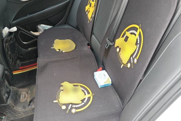 Used Geely Auto Emgrand 2021 UP 1.5L CVT Advanced Edition Left Rear Seat