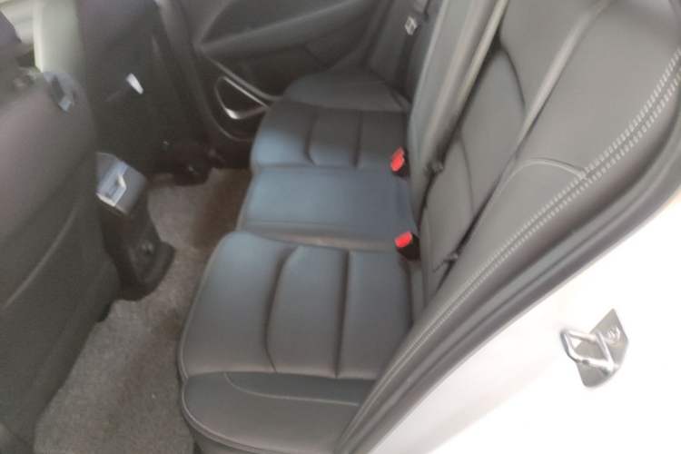 Used Geely Auto Emgrand 2021 UP 1.5L CVT Luxury Model Left Rear Seat