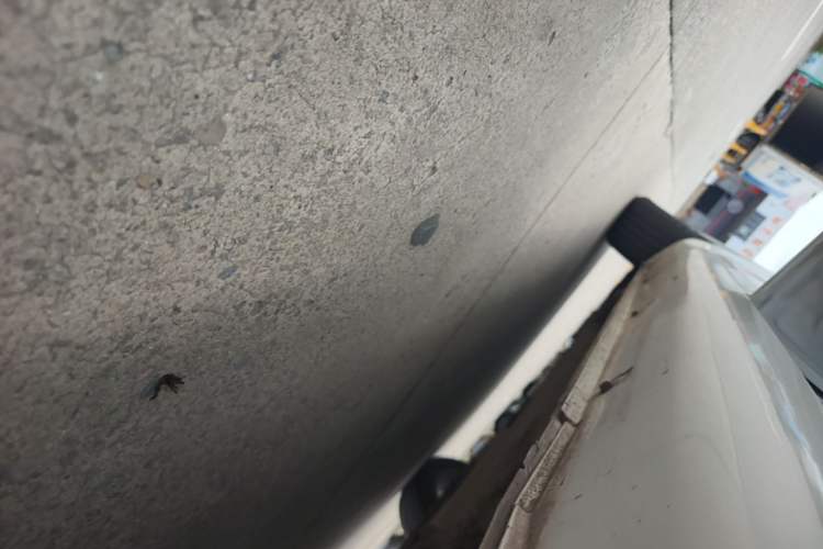 Used Geely Auto Emgrand 2021 UP 1.5L CVT Advanced Edition Left Side Sill