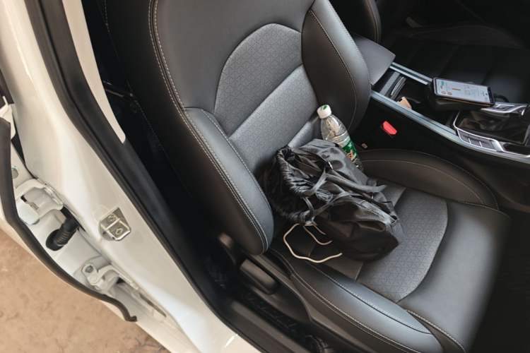 Used Geely Auto Emgrand 2021 UP 1.5L CVT Luxury Model Right Front Seat