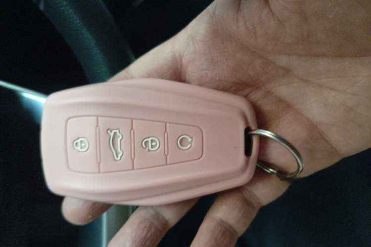 Used Geely Auto Emgrand 2021 UP 1.5L CVT Luxury Model Vehicle Key