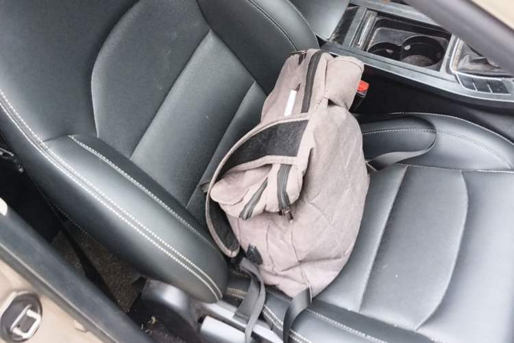 Used Geely Auto Emgrand 2021 UP 1.5L CVT Luxury Model Right Front Seat