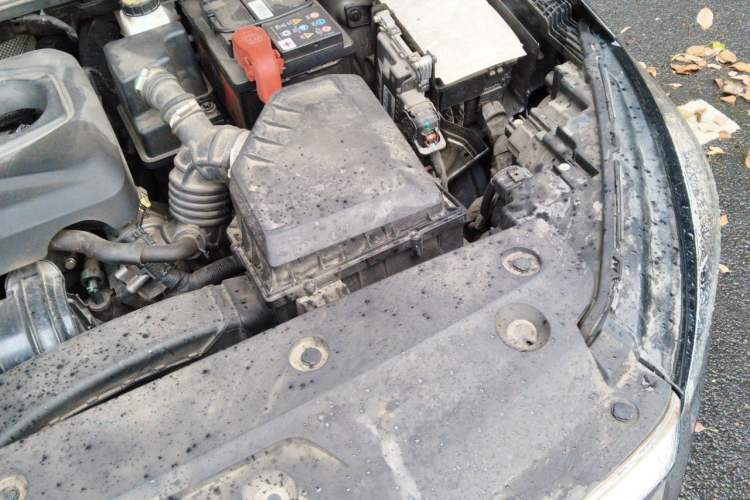Used Geely Auto Emgrand 2022 4th Generation 1.5L CVT Luxury Model Engine Bay Left