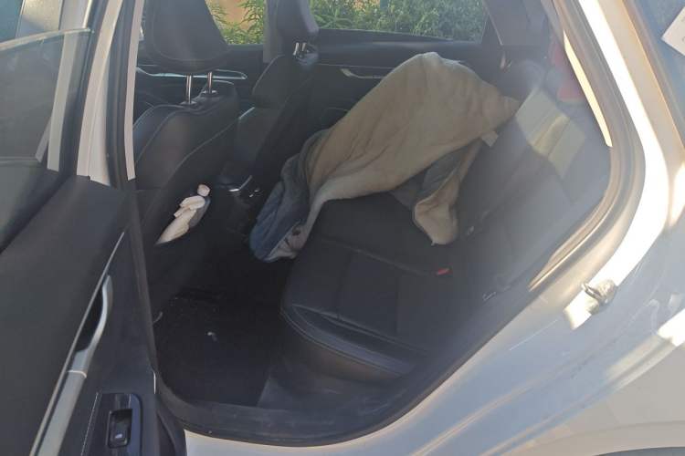 Used Geely Auto Emgrand 2022 4th Generation 1.5L CVT Luxury Model Left Rear Seat