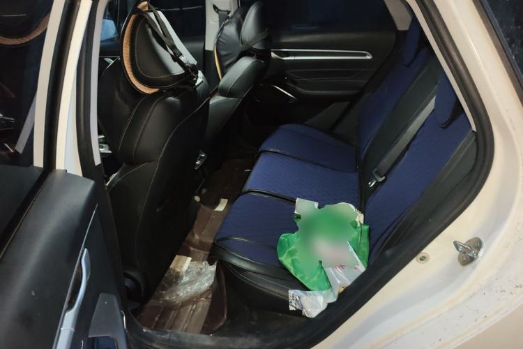 Used Geely Auto Emgrand 2022 4th Generation 1.5L CVT Luxury Model Left Rear Seat