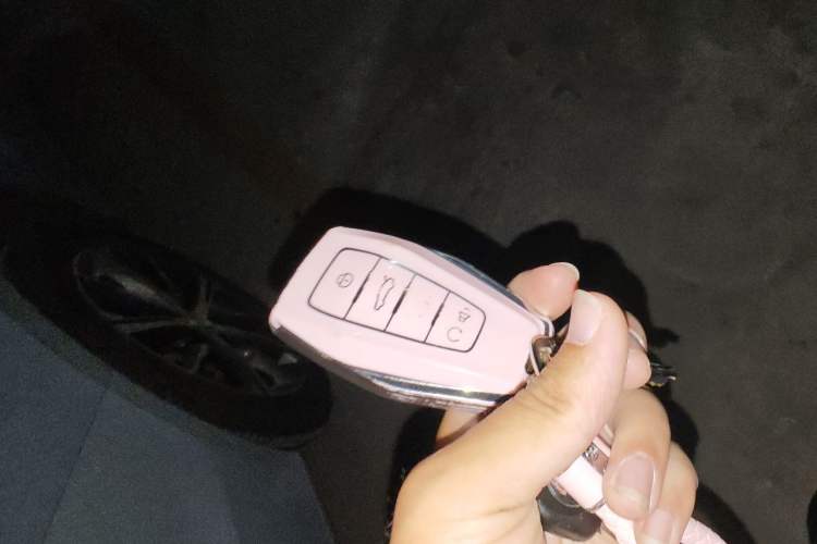 Used Geely Auto Emgrand 2023 4th Generation Champion Edition 1.5L CVT Flagship Model Vehicle Key
