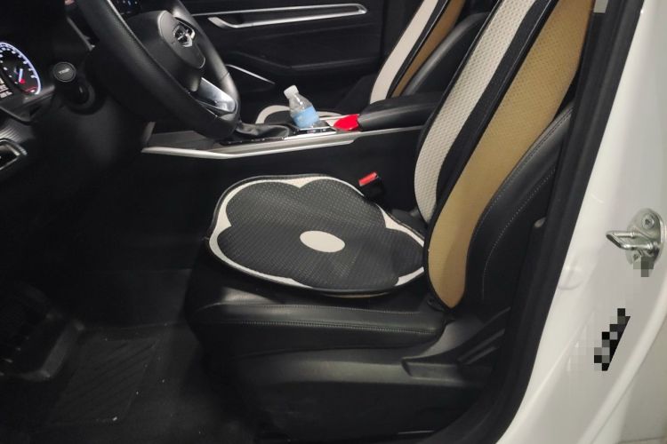 Used Geely Auto Emgrand 2023 4th Generation Champion Edition 1.5L CVT Luxury Model Left Front Seat