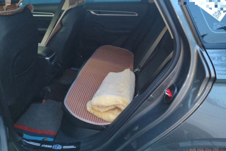 Used Geely Auto Emgrand 2025 4th Generation 1.5L Manual - Starry Edition Left Rear Seat