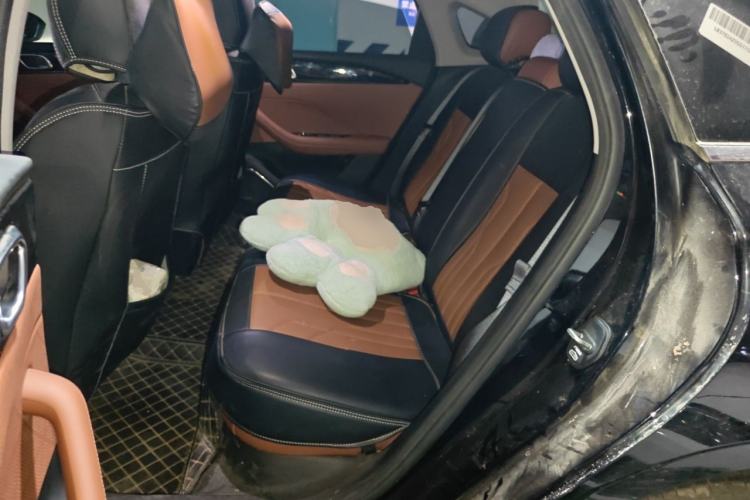 Used Geely Auto Emgrand 2026 Model 5th Generation 1.5T DCT Flagship Edition Left Rear Seat