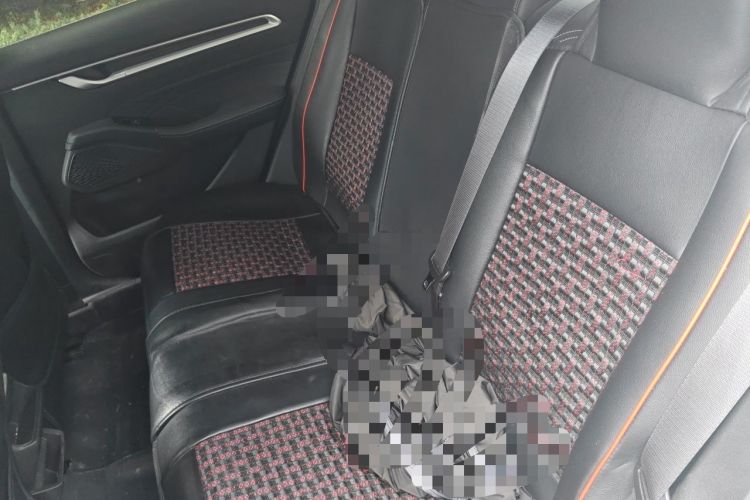 Used Geely Auto Emgrand 2026 Model 4th Generation 4 Millionth Anniversary Model 1.5L CVT Starry Edition Left Rear Seat