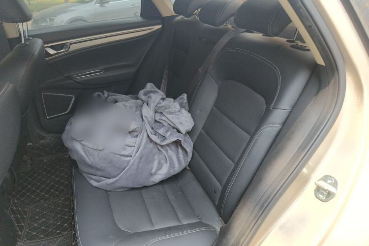 Used Geely Auto Emgrand GL 2017 1.3T DCT Elite Model Left Rear Seat