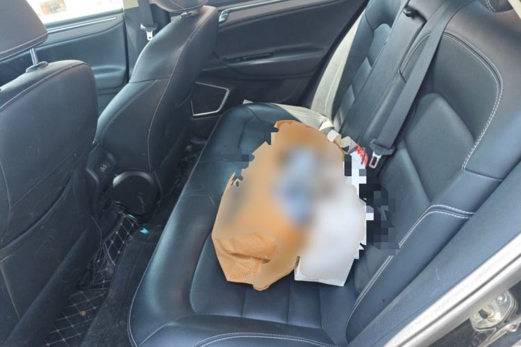 Used Geely Auto Emgrand GL 2018 1.8L DCT Elite Smart Connectivity Version Left Rear Seat