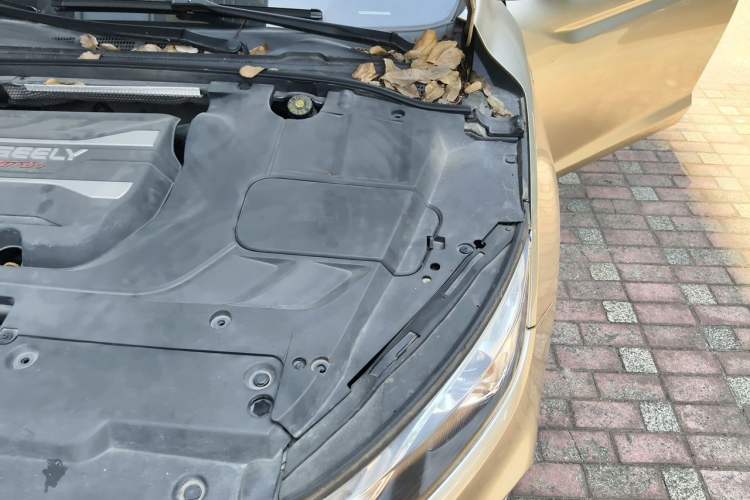 Used Geely Auto Emgrand GL 2018 1.4T DCT Prestige Smart Connectivity Version Engine Bay Left