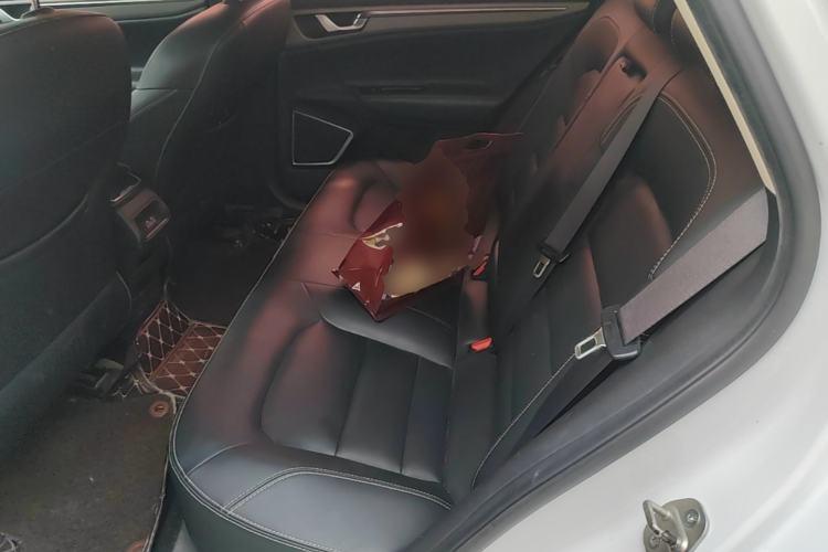 Used Geely Auto Emgrand GL 2018 1.4T DCT Elite Smart Connectivity Version Left Rear Seat