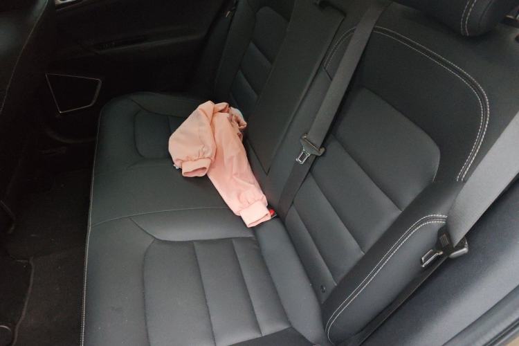 Used Geely Auto Emgrand GL 2018 1.8L DCT Elite Smart Connectivity Version Left Rear Seat