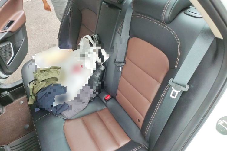 Used Geely Auto Emgrand GL 2019 1.4T CVT Prestige Smart Edition Left Rear Seat