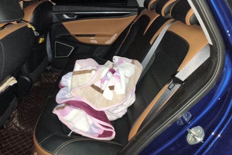 Used Geely Auto Emgrand GL 2020 1.4T CVT Luxury Model Left Rear Seat