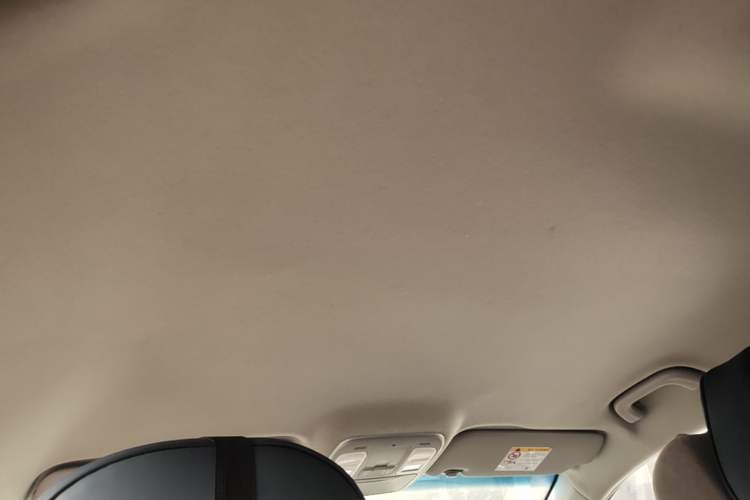 Used Geely Auto Emgrand GL 2020 1.4T Manual Asian Games Edition Headliner