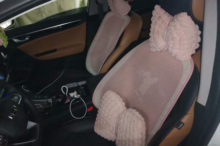 Used Geely Auto Emgrand GL 2020 1.4T CVT Luxury Model Left Front Seat