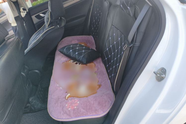 Used Geely Auto Emgrand GL 2020 1.4T Manual Luxury Model Left Rear Seat