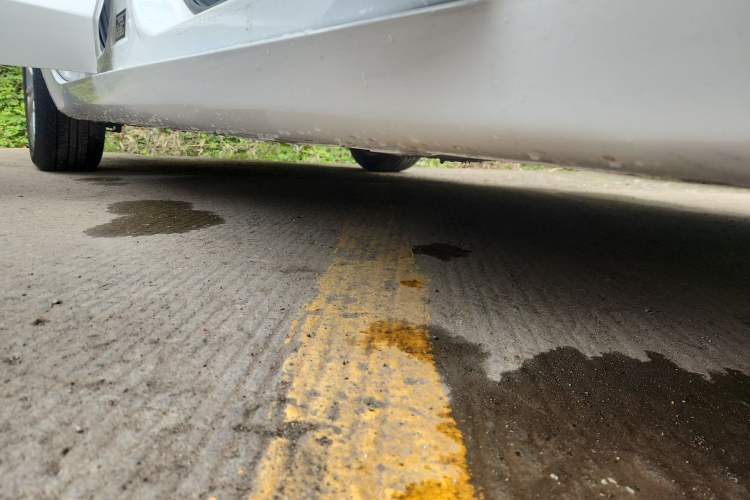 Used Geely Auto Emgrand GL 2020 1.4T CVT Luxury Model Right Side Sill