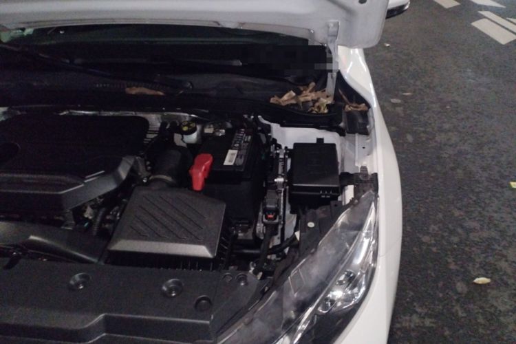 Used Geely Auto Emgrand GL 2021 UP 1.4T CVT Leading Edition Engine Bay Left