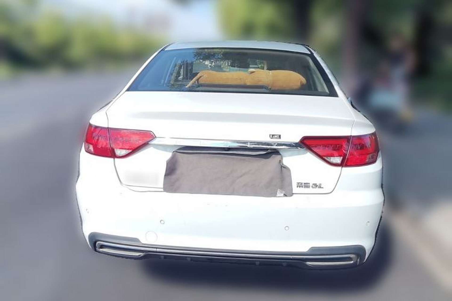 Used Geely Auto Emgrand GL New Energy 2019 1.5T DCT Zhiyue Model Rear