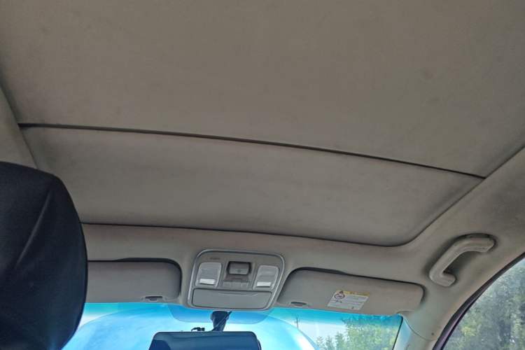 Used Geely Auto Emgrand GS 2016 Sport Edition 1.3T Manual LingShang Model Headliner