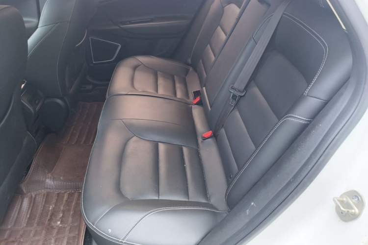 Used Geely Auto Emgrand GS 2016 Sport Edition 1.3T Automatic LingShang Model Left Rear Seat
