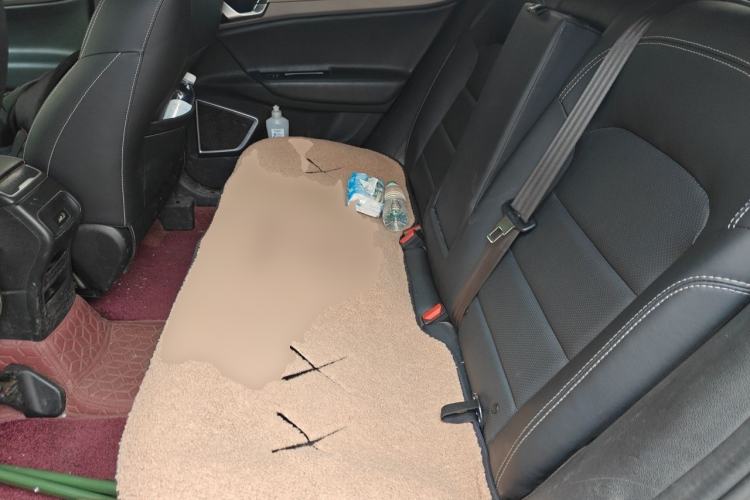 Used Geely Auto Emgrand GS 2016 Sport Edition 1.3T Manual LingShang Model Left Rear Seat